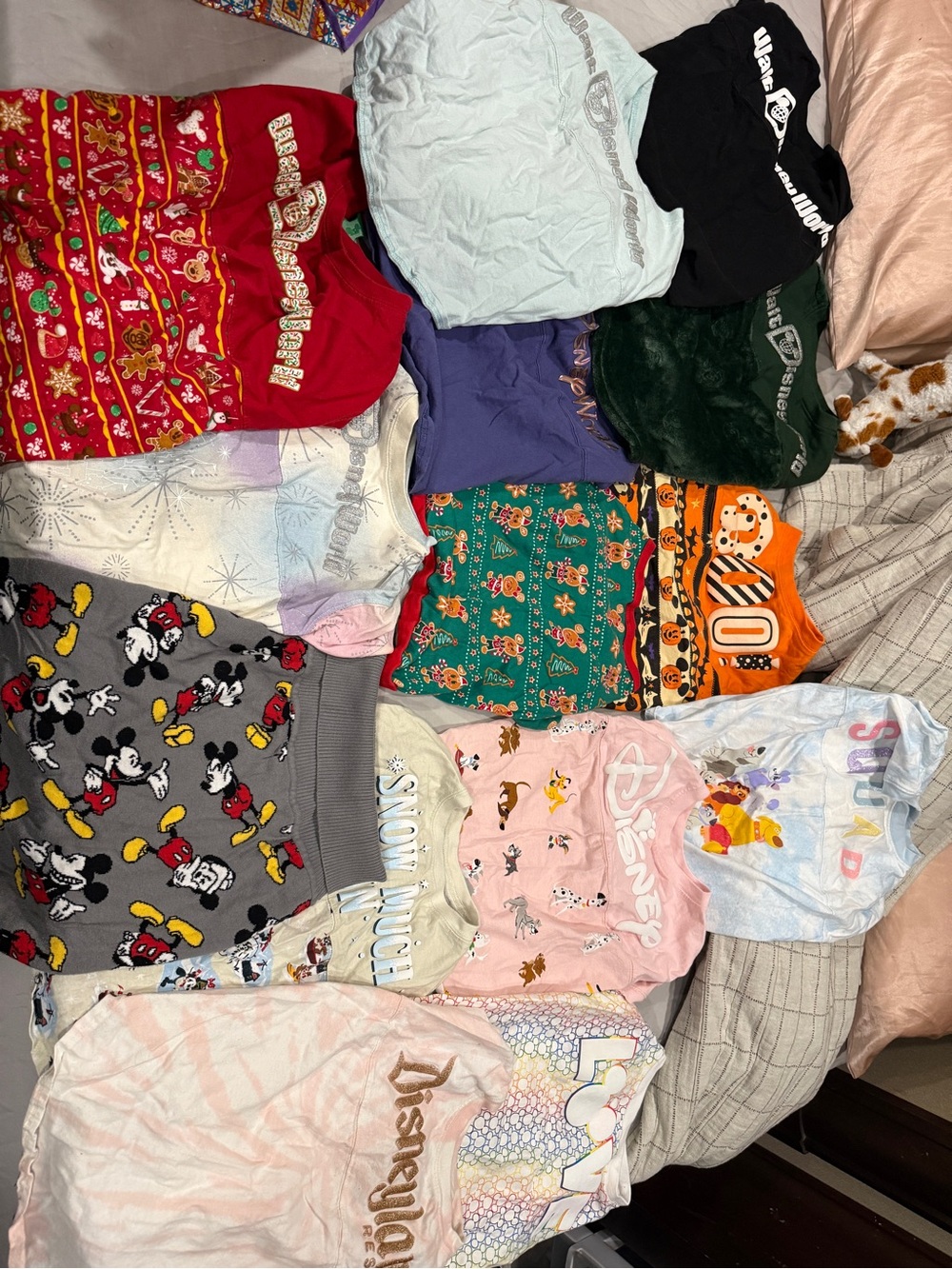 Disney spirit jersey pet bundle size XL